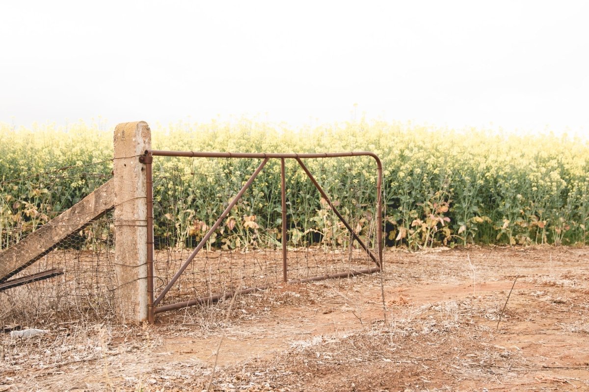 "Goldfields Gate" Photography Print - Belinda Doyle - Australian Photographer & Resin Artist