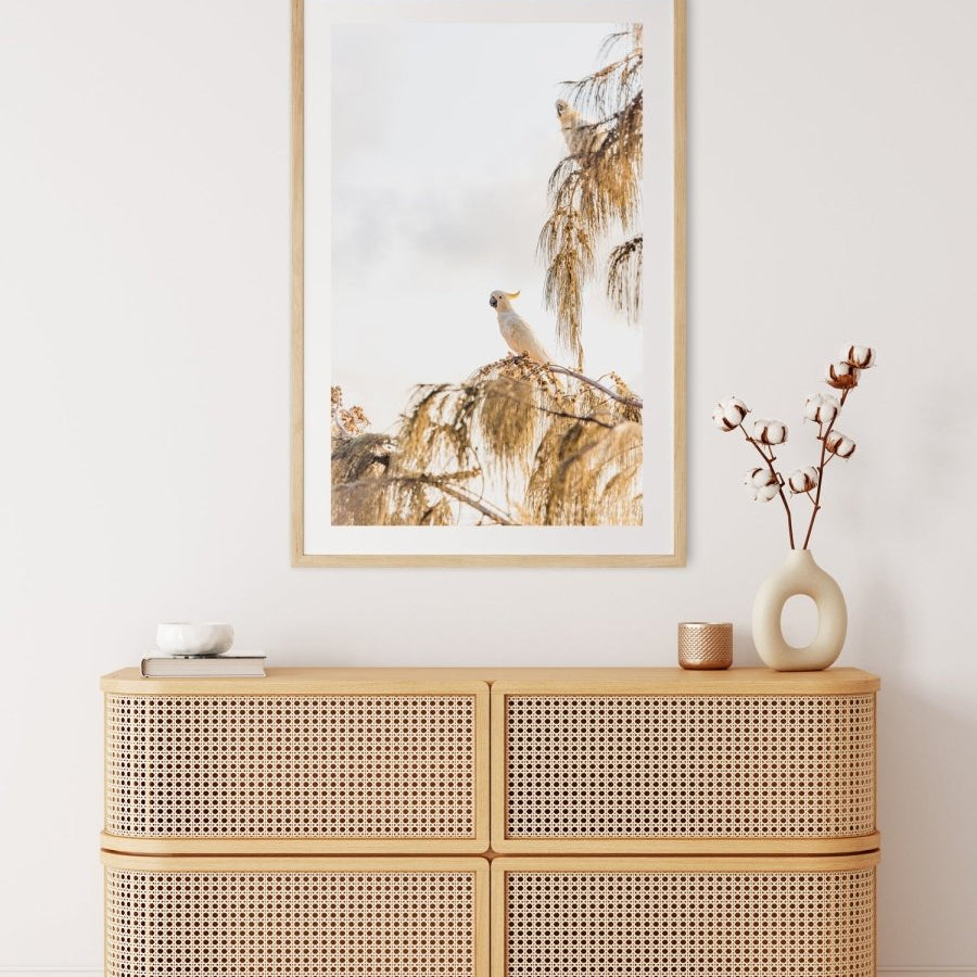 "Golden Chatter" Photography Print - Belinda Doyle - Australian Photographer & Resin Artist