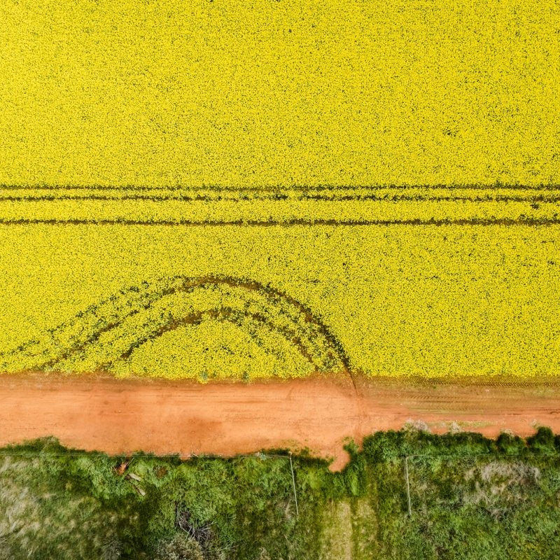 "Harbour Vibe" Photography Print - Belinda Doyle - Australian Photographer & Resin Artist