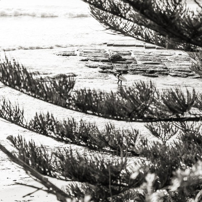 "Home Time" BW Photography Print - Belinda Doyle - Australian Photographer & Resin Artist