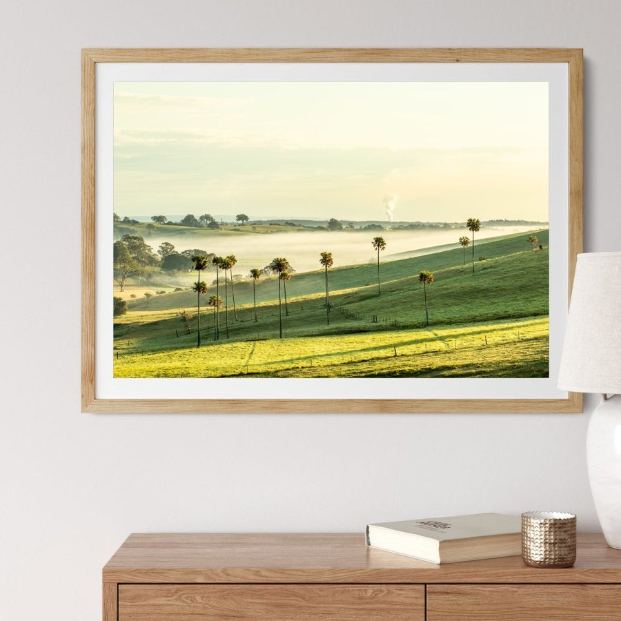 "Jerrara Palms" LS Photography Print - Belinda Doyle - Australian Photographer & Resin Artist