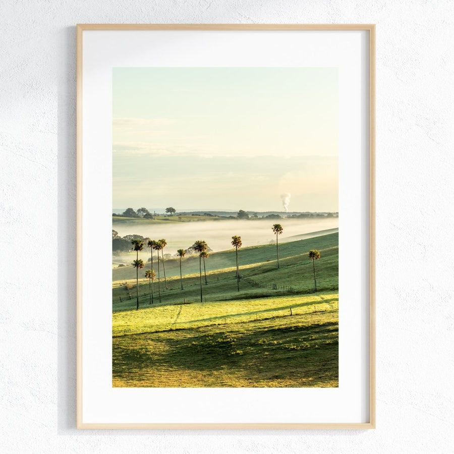 "Jerrara Palms" Photography Print - Belinda Doyle - Australian Photographer & Resin Artist