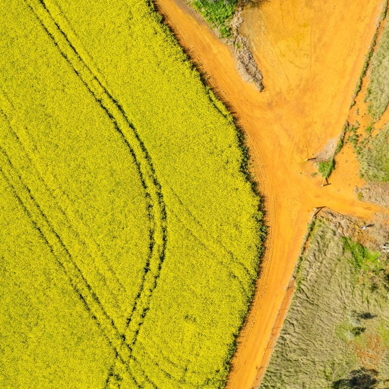 "Jewnee Abstracts" Photography Print - Belinda Doyle - Australian Photographer & Resin Artist