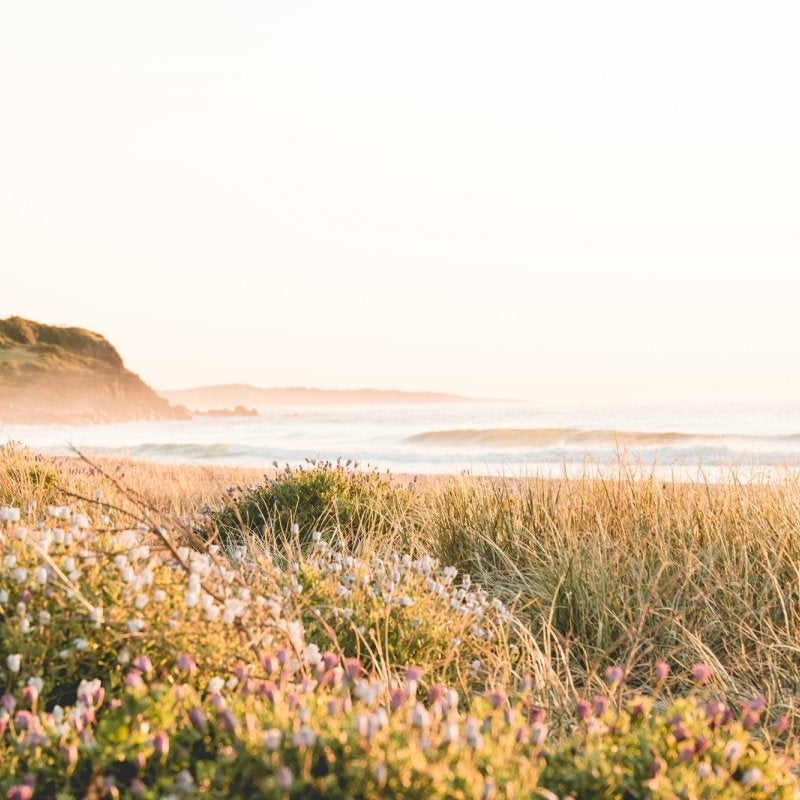 "Jones Bouquet" Photography Print - Belinda Doyle - Resin Artist & South Coast Photographer