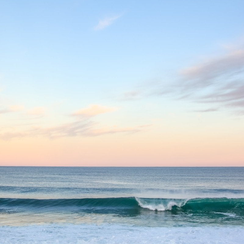 "Just Rosy" Photography Print - Belinda Doyle - Australian Photographer & Resin Artist