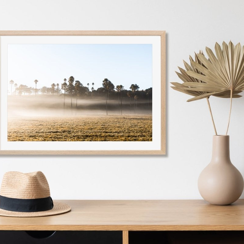 "Light & Shade" Photography Print - Belinda Doyle - Australian Photographer & Resin Artist