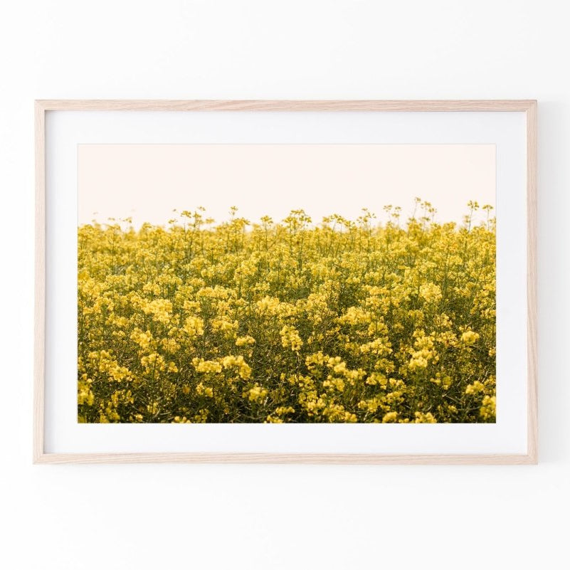 "Marge" Photography Print - Belinda Doyle - Australian Photographer & Resin Artist