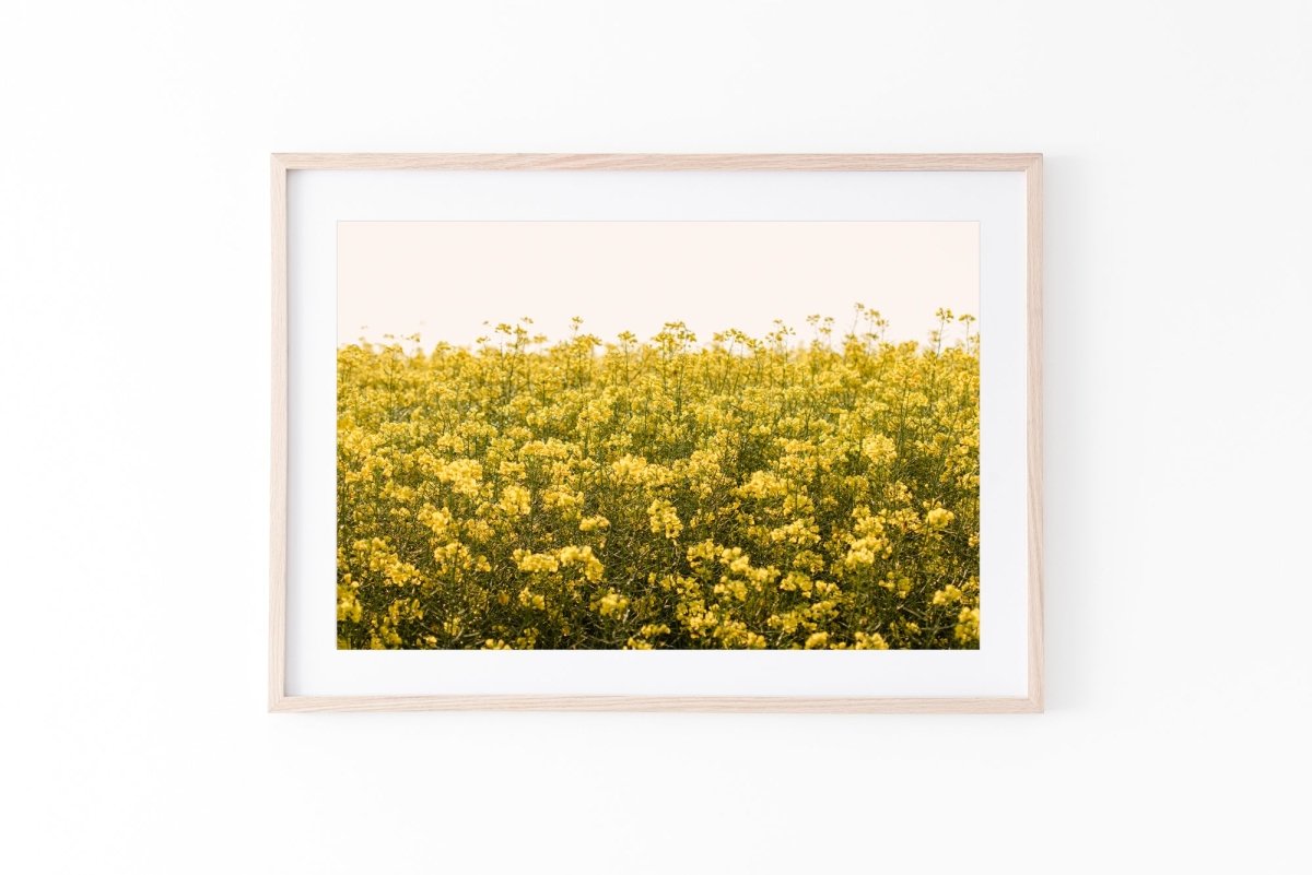 "Marge" Photography Print - Belinda Doyle - Australian Photographer & Resin Artist
