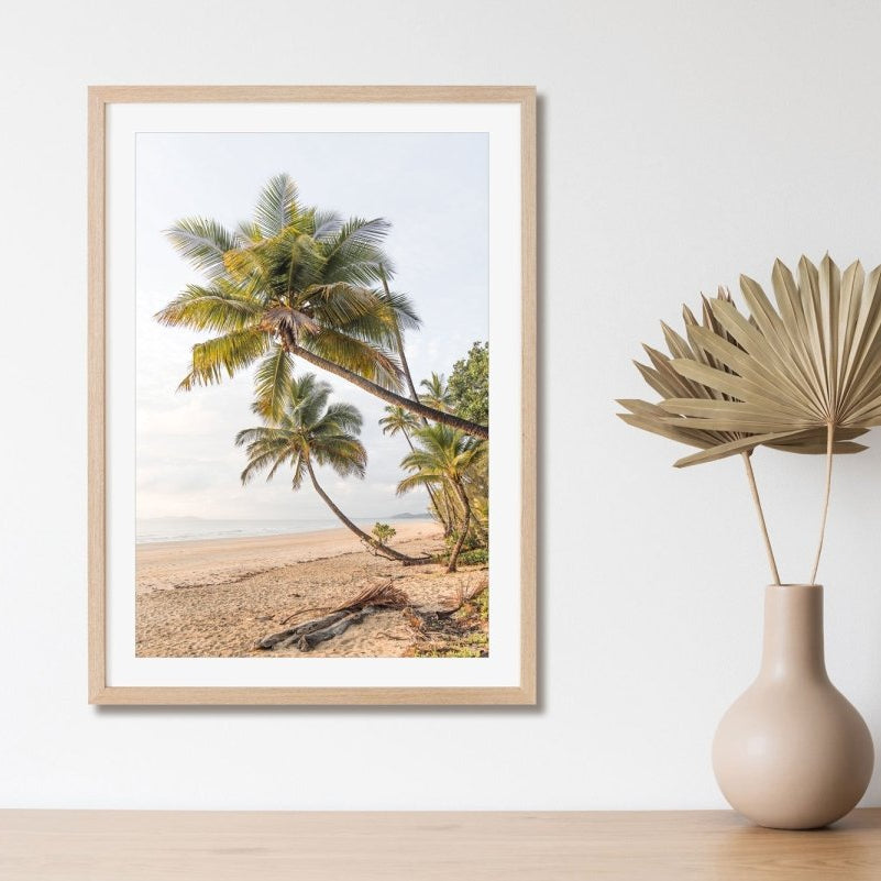 "Mission Beach Palms" Photography Print - Belinda Doyle - Australian Photographer & Resin Artist