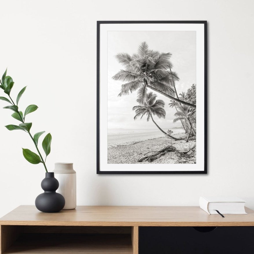 "Mission Beach Palms" BW Photography Print - Belinda Doyle - Australian Photographer & Resin Artist