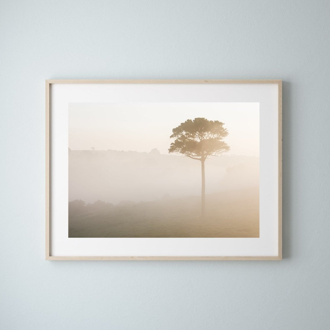 "Morning Fog LS" Photography Print - Belinda Doyle - Australian Photographer & Resin Artist