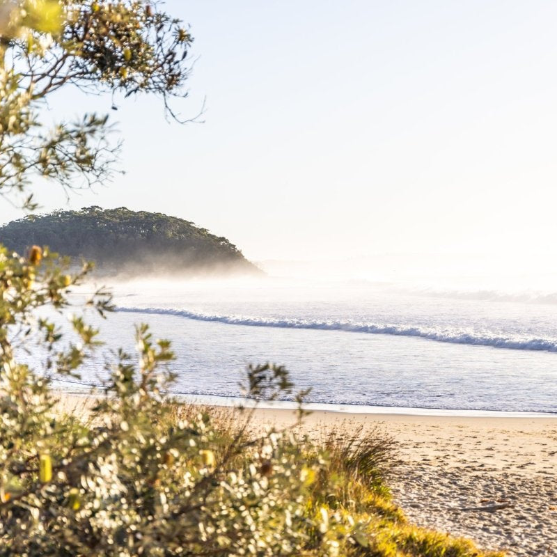 "Morning Muse" LS Photography Print - Belinda Doyle - Australian Photographer & Resin Artist