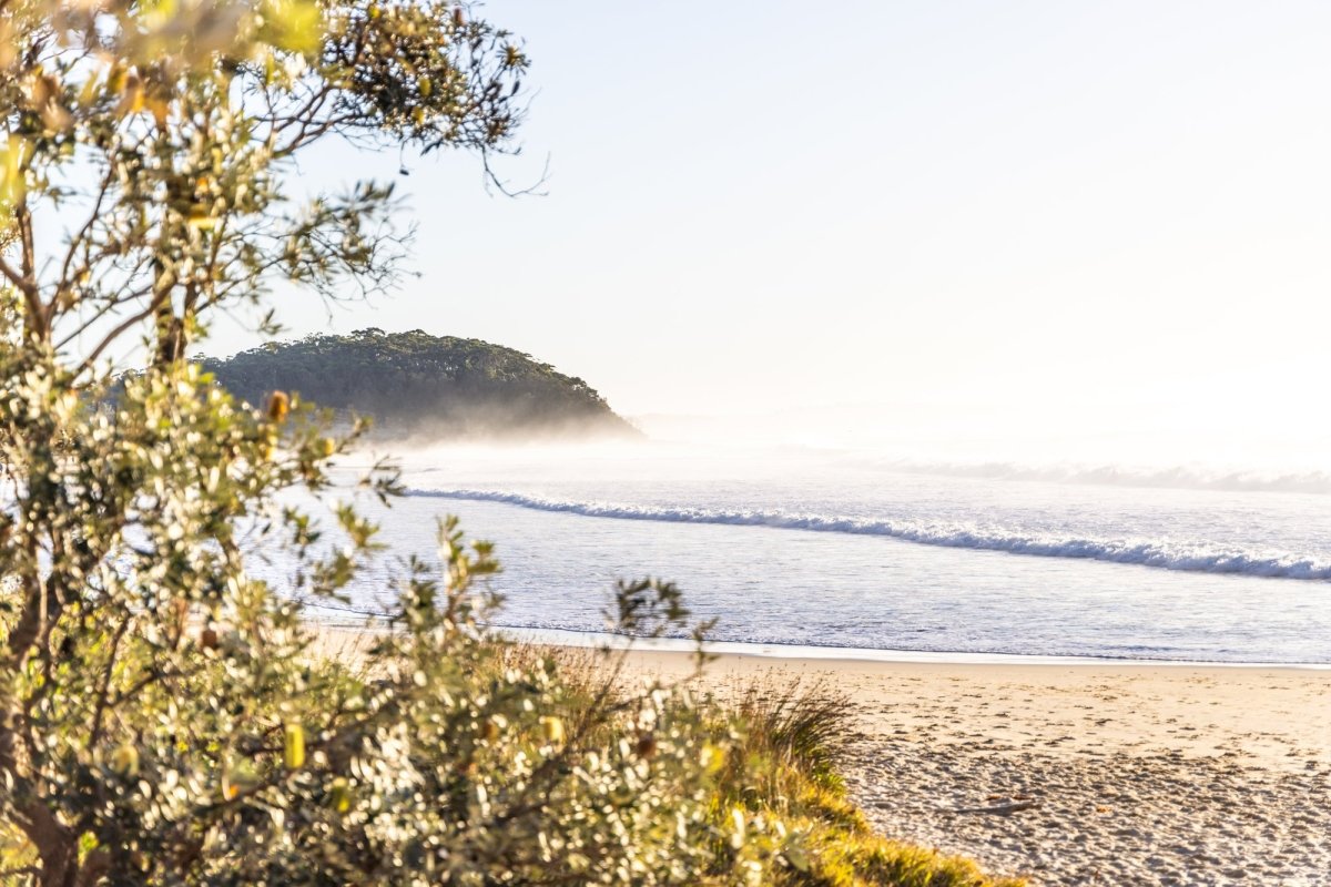 "Morning Muse" LS Photography Print - Belinda Doyle - Australian Photographer & Resin Artist
