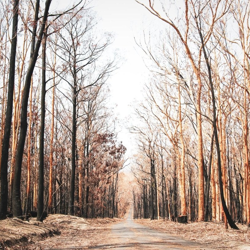 "Mount Agony Road" Photography Print - Belinda Doyle - Resin Artist & South Coast Photographer