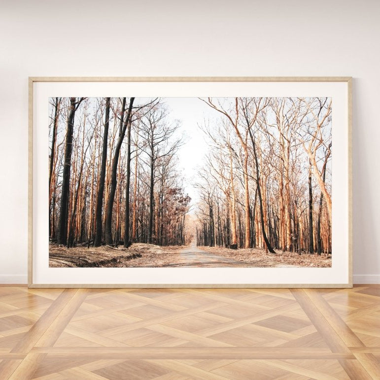 "Mount Agony Road" Photography Print - Belinda Doyle - Resin Artist & South Coast Photographer