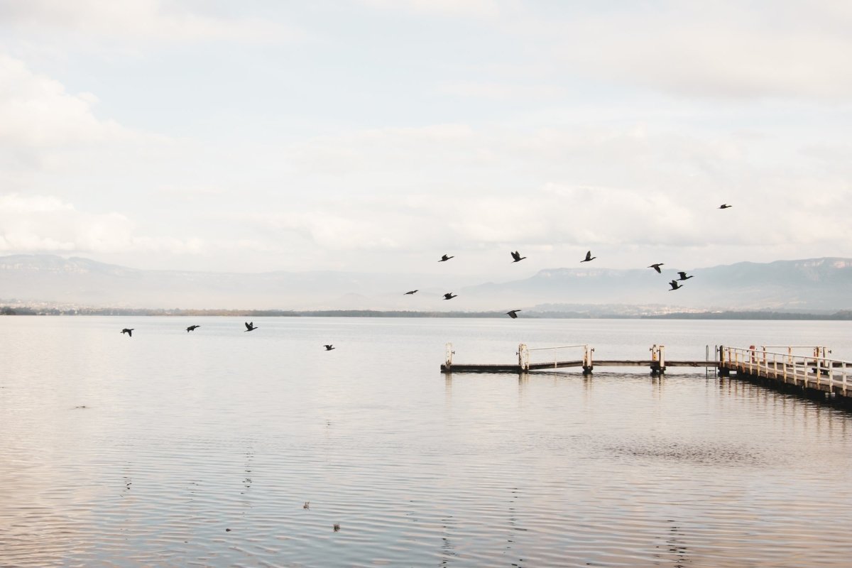 "Moureendah Jetty" Photography Print - Belinda Doyle - Australian Photographer & Resin Artist