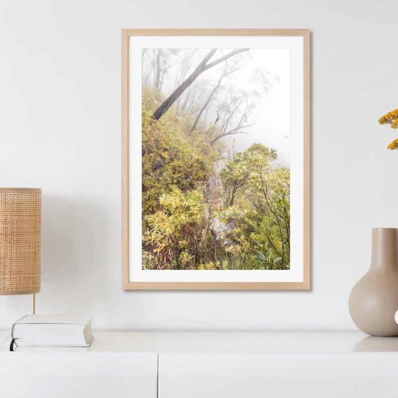 "Native Fog" Photography Print - Belinda Doyle - Australian Photographer & Resin Artist