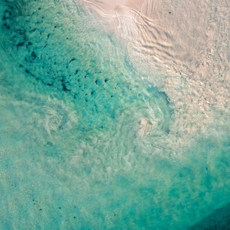 "Natures Whirlpool" Photography Print - Belinda Doyle - Australian Photographer & Resin Artist
