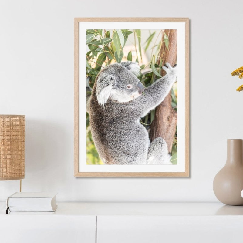 "Ned" Photography Print - Belinda Doyle - Australian Photographer & Resin Artist