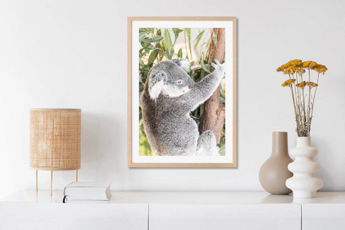 "Ned" Photography Print - Belinda Doyle - Australian Photographer & Resin Artist