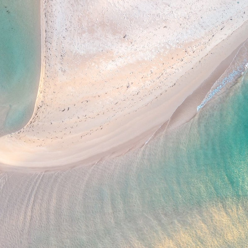 "Neritic" Photography Print - Belinda Doyle - Australian Photographer & Resin Artist