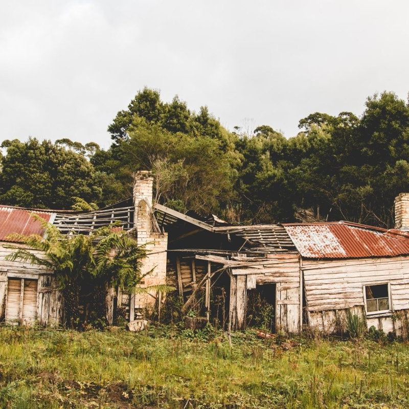 "Not Quite Plum" Photography Print - Belinda Doyle - Australian Photographer & Resin Artist