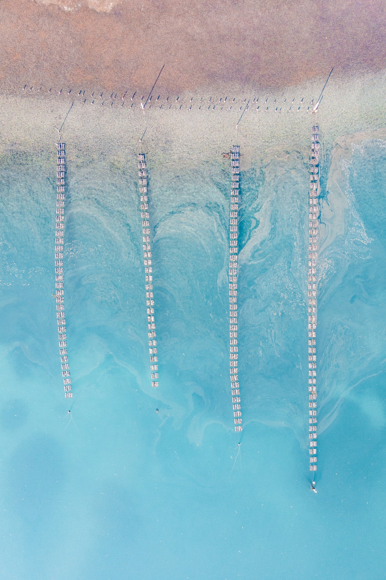 "Pearl" Photography Print