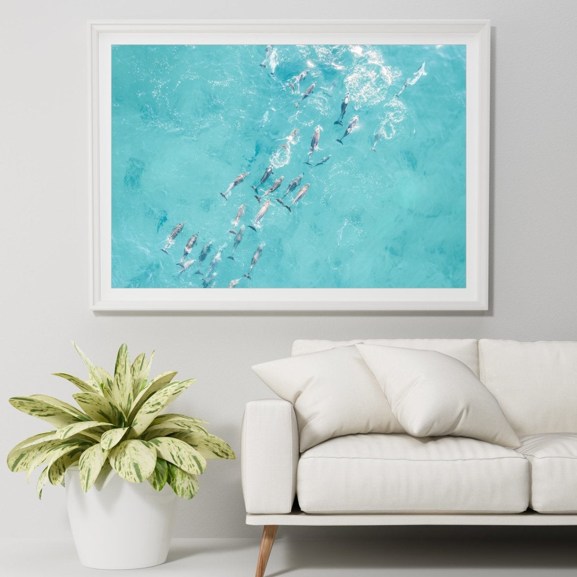 "Playful Pod" Photography Print - Belinda Doyle - Resin Artist & South Coast Photographer