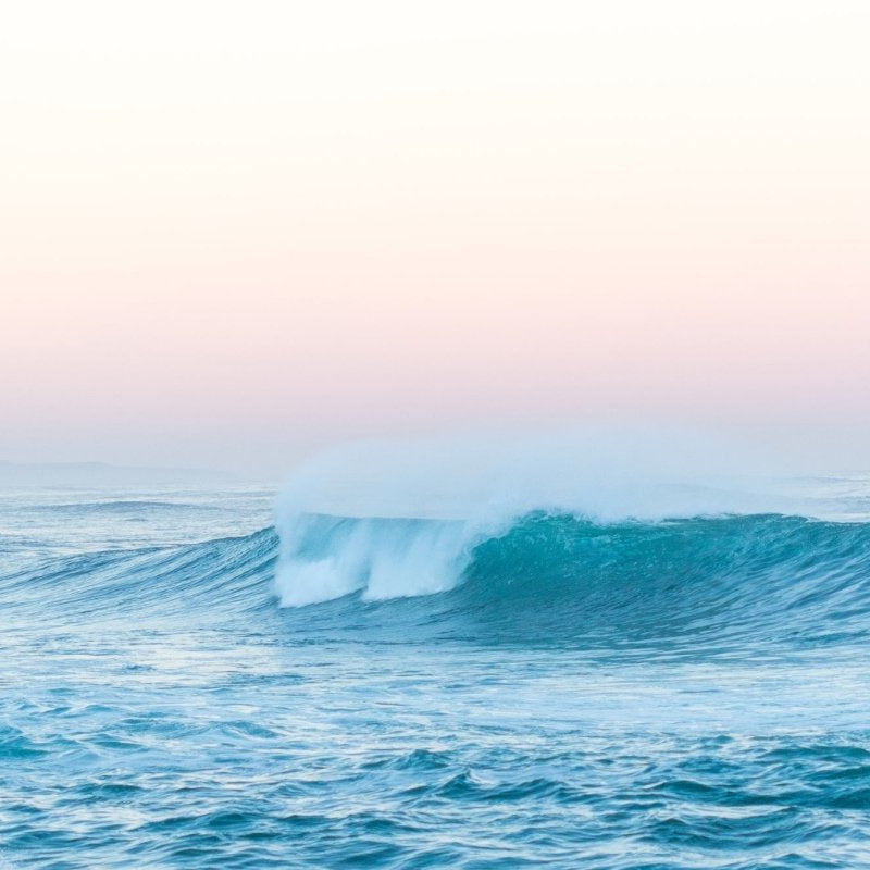 "Pretty but Fierce" Photography Print - Belinda Doyle - Australian Photographer & Resin Artist