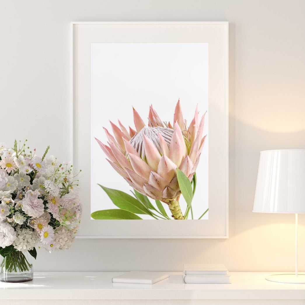 "Protea Bloom" Photography Print - Belinda Doyle - Resin Artist & South Coast Photographer