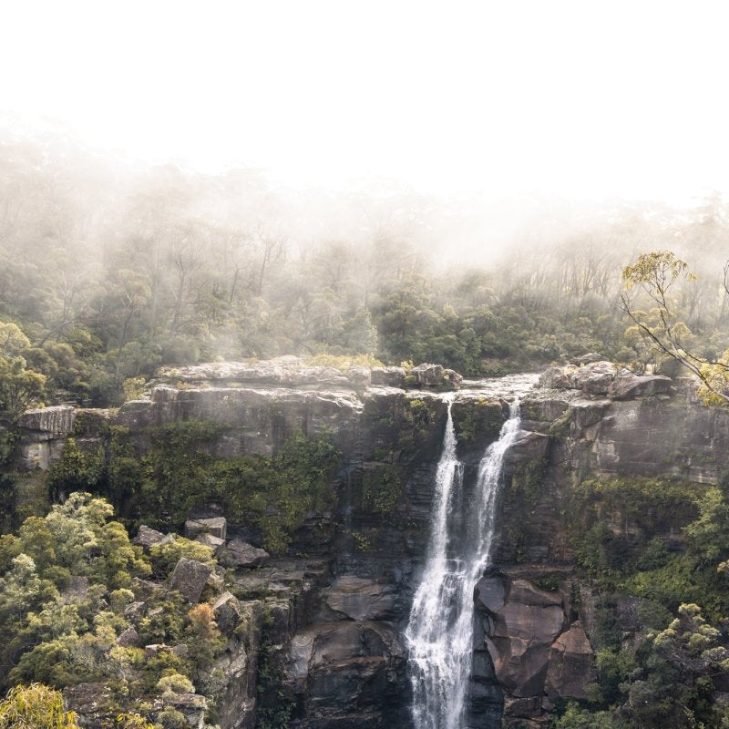 "Rainforest Mist" Photography Print - Belinda Doyle - Australian Photographer & Resin Artist