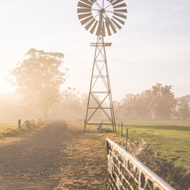 "Riversdale Light" (P) Photography Print - Belinda Doyle - Australian Photographer & Resin Artist