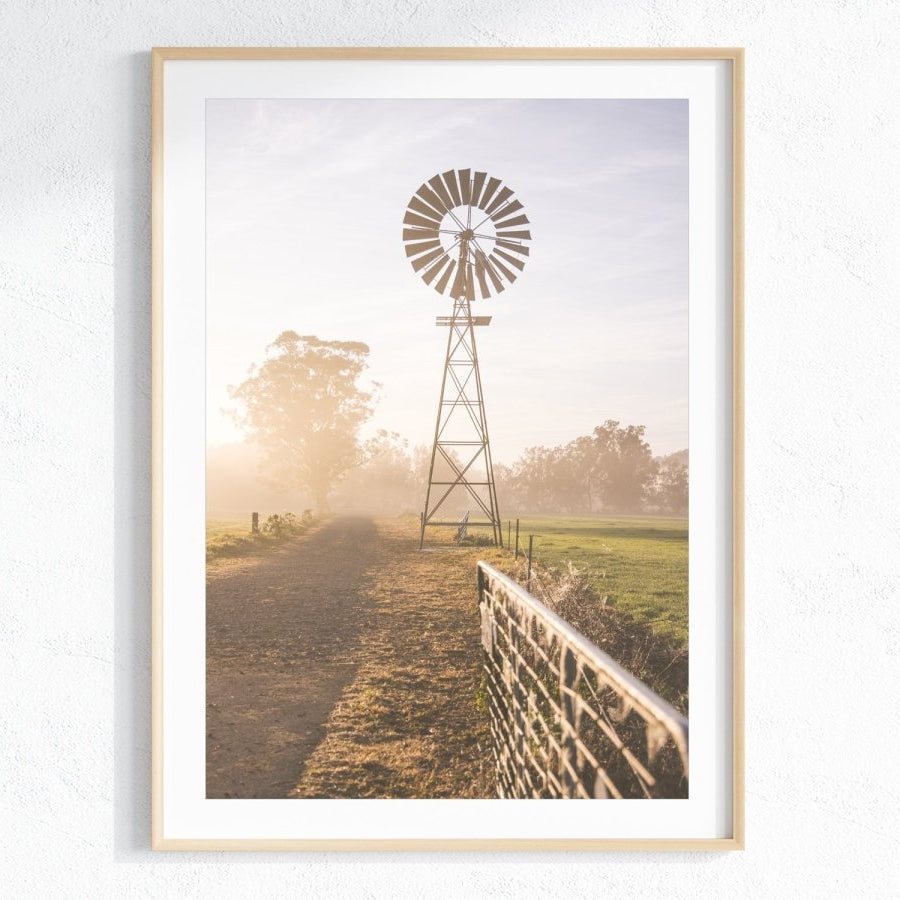 "Riversdale Light" (P) Photography Print - Belinda Doyle - Australian Photographer & Resin Artist