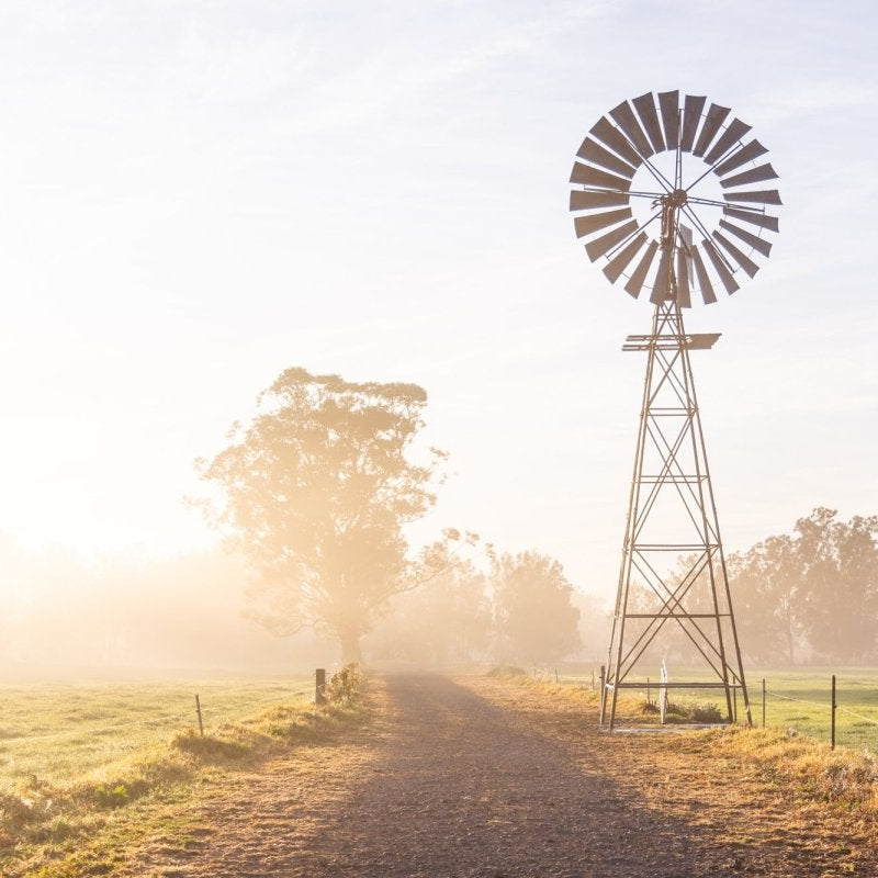 "Riversdale Light" Photography Print - Belinda Doyle - Australian Photographer & Resin Artist