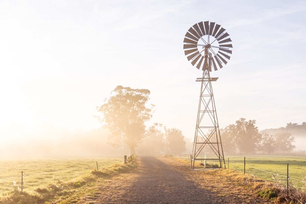 "Riversdale Light" Photography Print - Belinda Doyle - Australian Photographer & Resin Artist