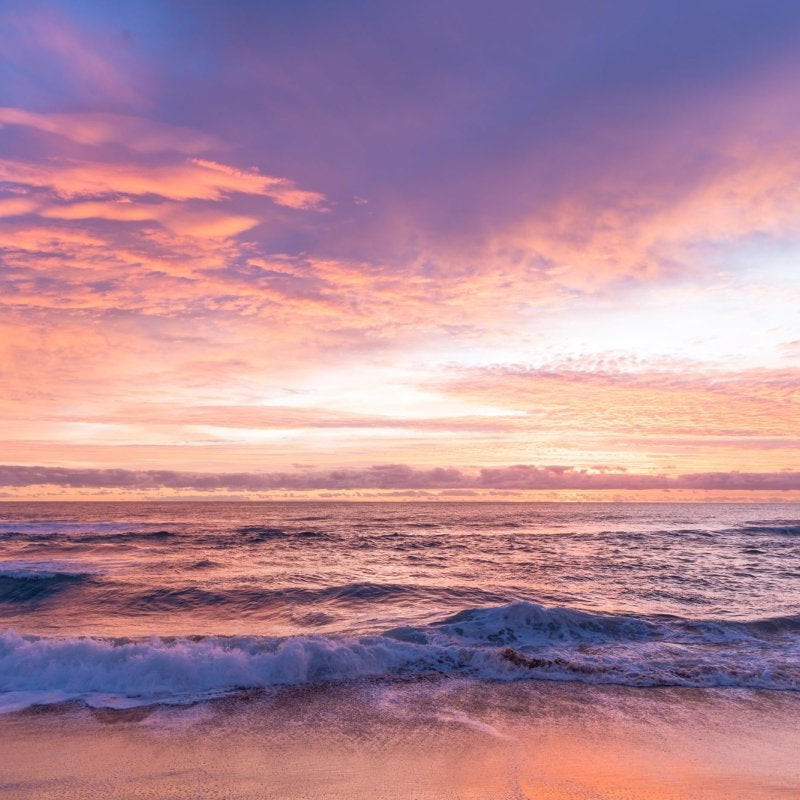 "Rose Water" Photography Print - Belinda Doyle - Australian Photographer & Resin Artist