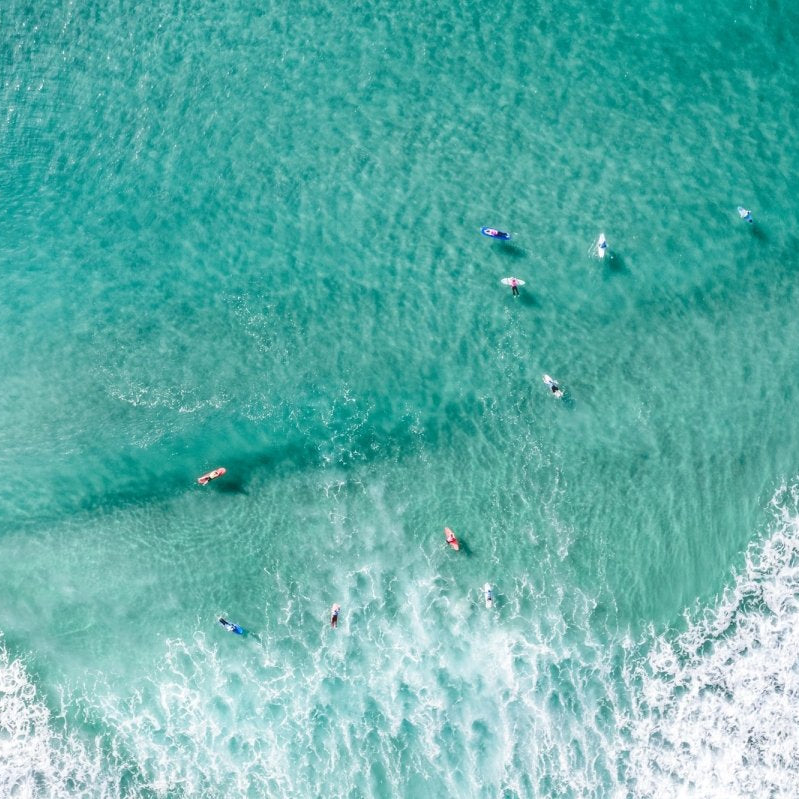 "Salty Society" Photography Print - Belinda Doyle - Australian Photographer & Resin Artist