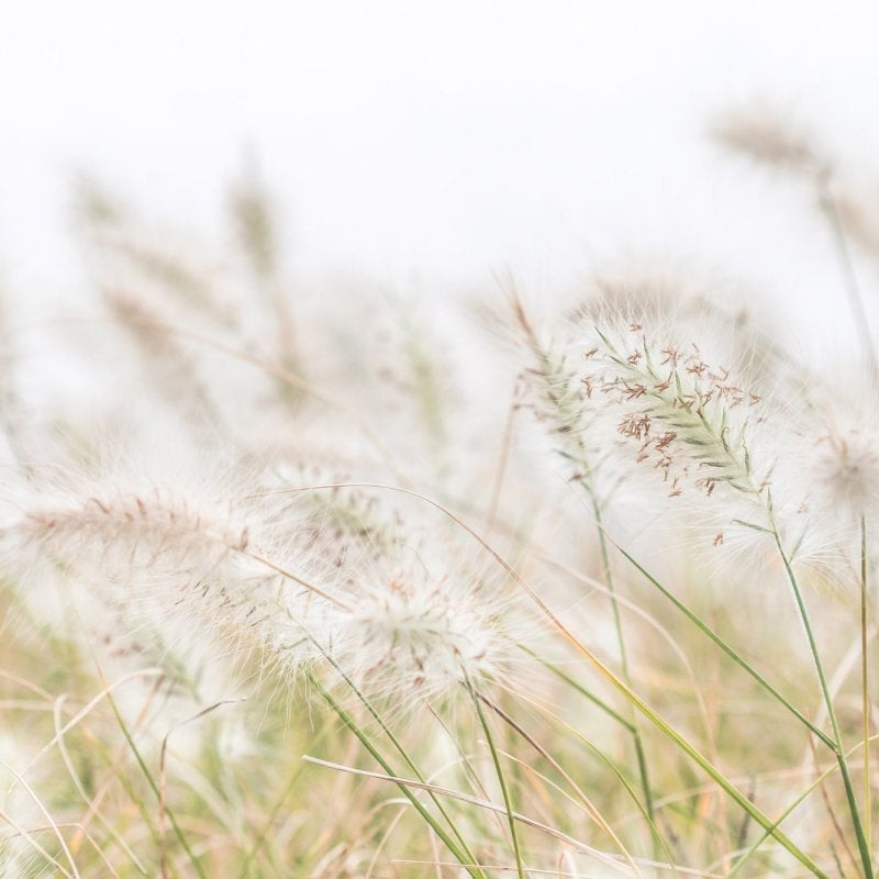 "Seaside Breeze" Photography Print - Belinda Doyle - Australian Photographer & Resin Artist
