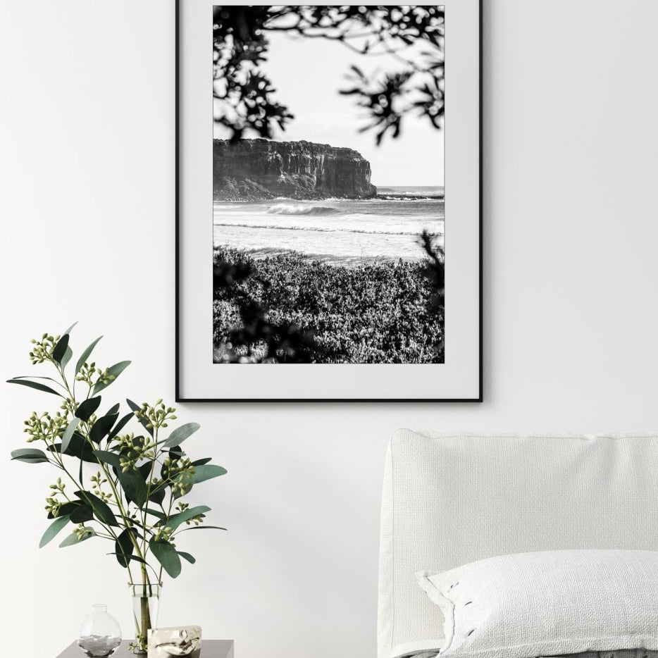 "Shade Dweller" (BW) Photography Print - Belinda Doyle - Australian Photographer & Resin Artist