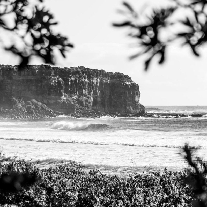"Shade Dweller" (BW) Photography Print - Belinda Doyle - Australian Photographer & Resin Artist