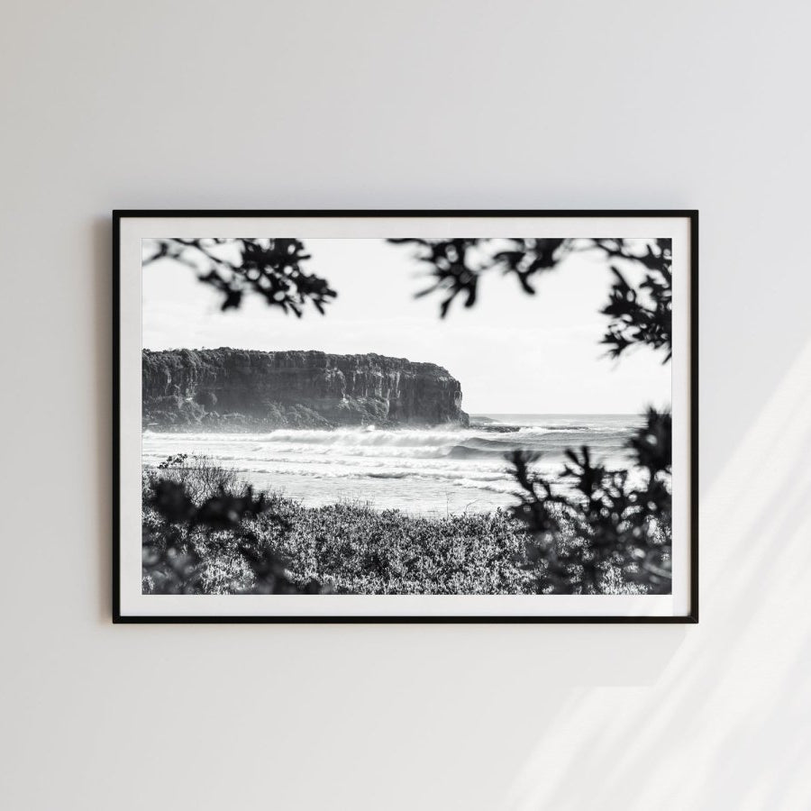 "Shade Dweller" BW Photography Print - Belinda Doyle - Australian Photographer & Resin Artist