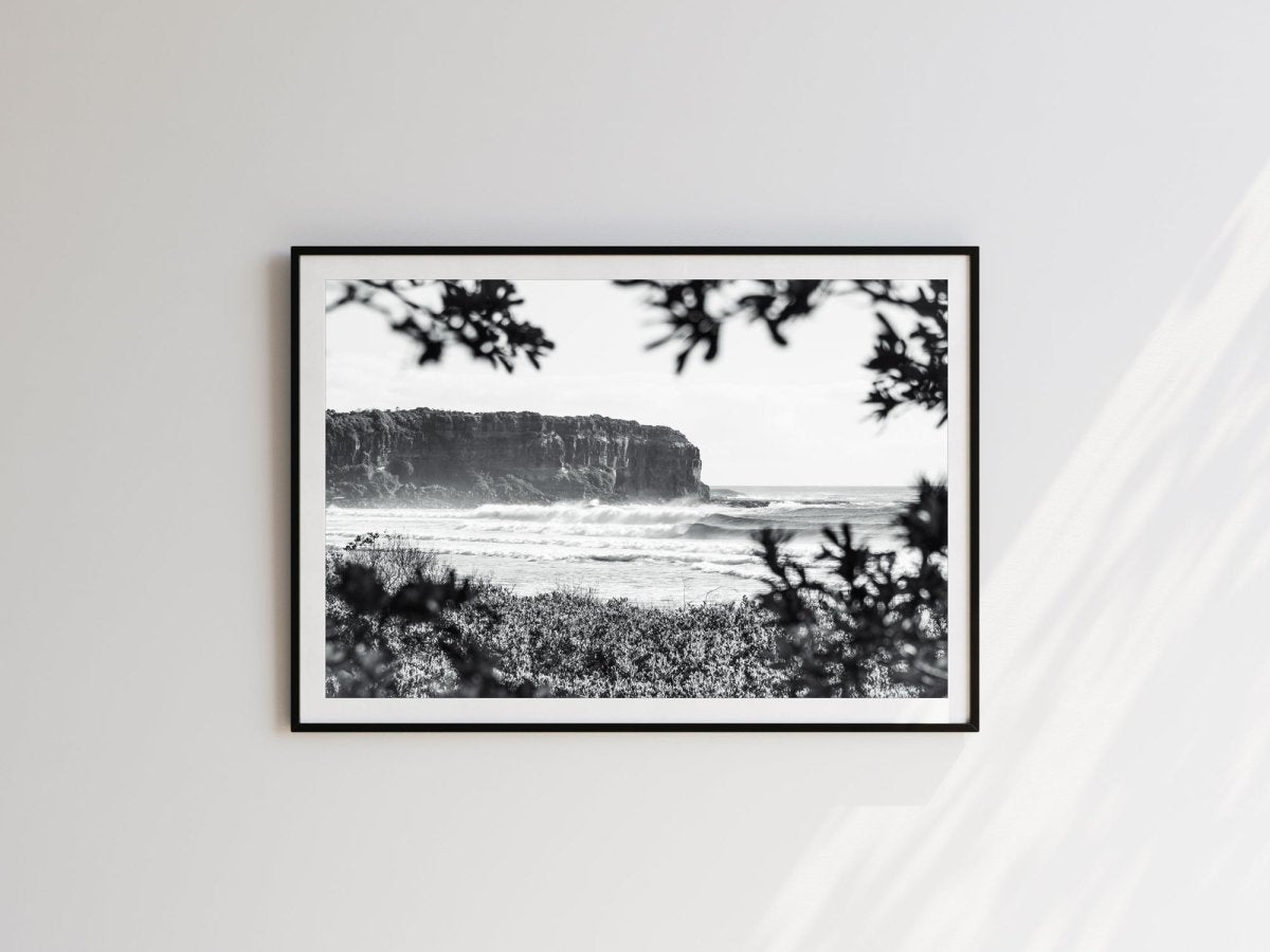 "Shade Dweller" BW Photography Print - Belinda Doyle - Australian Photographer & Resin Artist
