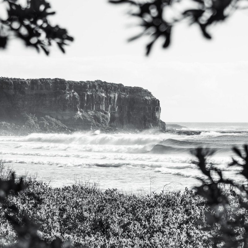 "Shade Dweller" BW Photography Print - Belinda Doyle - Australian Photographer & Resin Artist