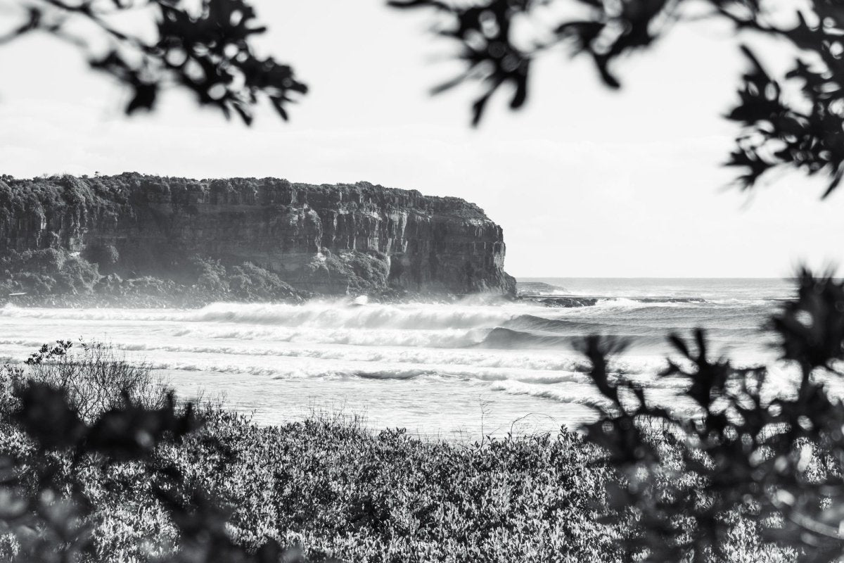 "Shade Dweller" BW Photography Print - Belinda Doyle - Australian Photographer & Resin Artist