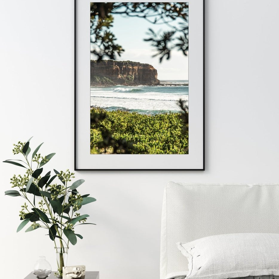 "Shade Dweller" (P) Photography Print - Belinda Doyle - Australian Photographer & Resin Artist