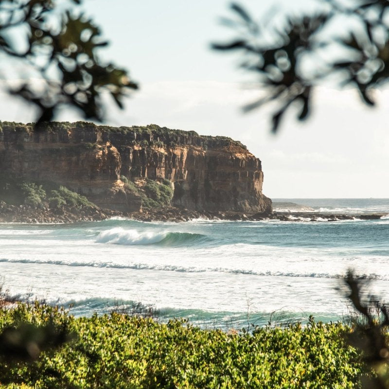 "Shade Dweller" (P) Photography Print - Belinda Doyle - Australian Photographer & Resin Artist