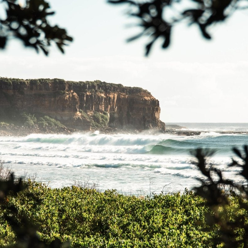 "Shade Dweller" Photography Print - Belinda Doyle - Australian Photographer & Resin Artist