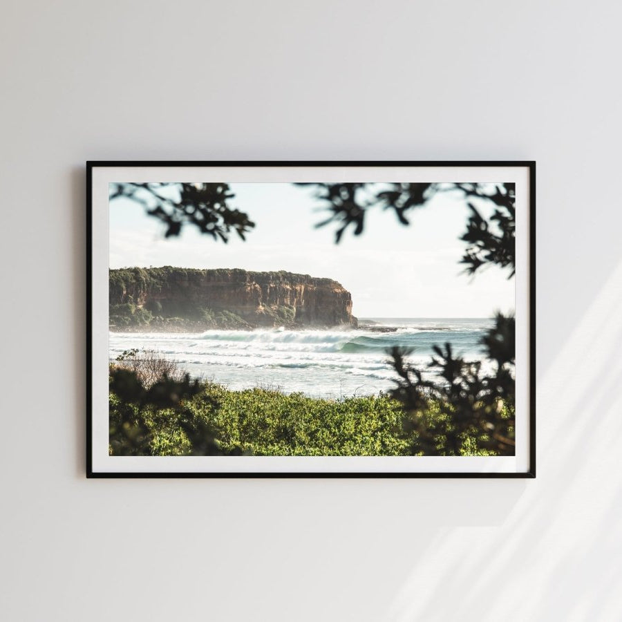 "Shade Dweller" Photography Print - Belinda Doyle - Australian Photographer & Resin Artist