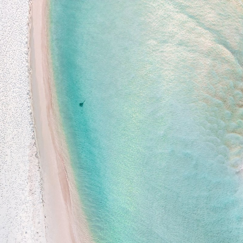 "Shallow Ray" Photography Print - Belinda Doyle - Australian Photographer & Resin Artist