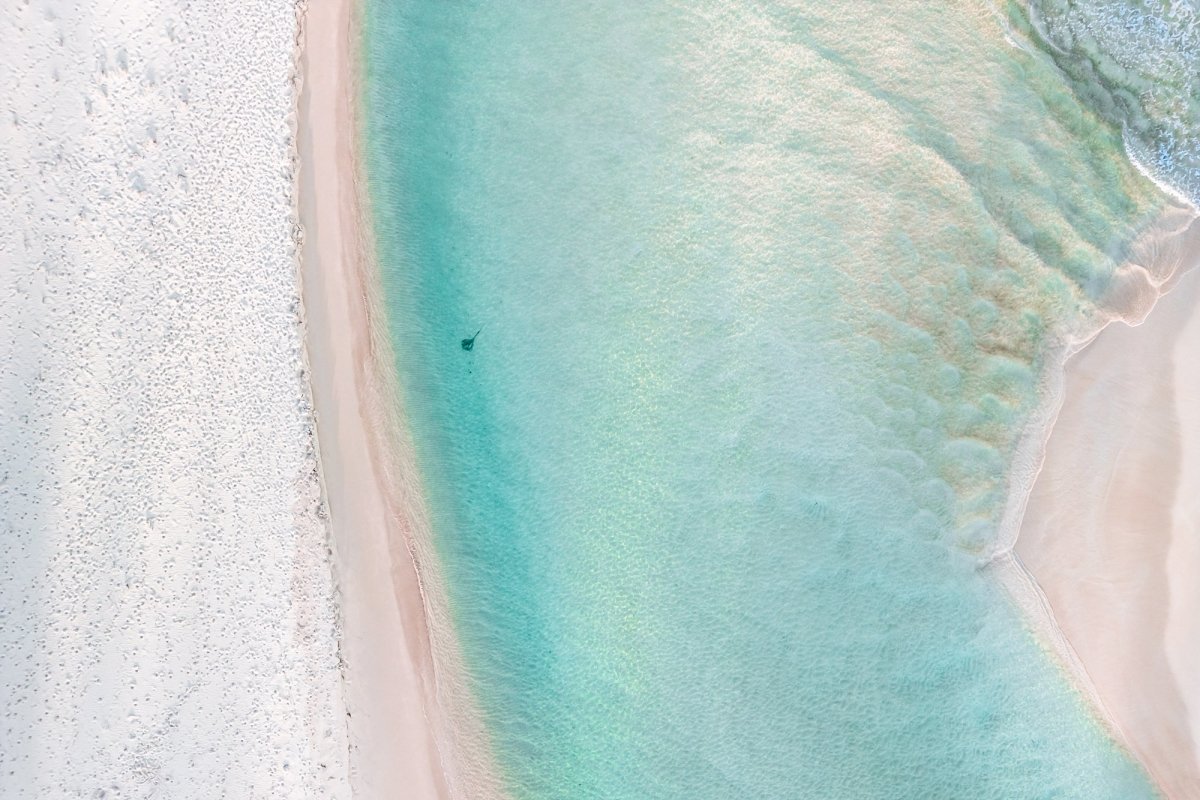 "Shallow Ray" Photography Print - Belinda Doyle - Australian Photographer & Resin Artist